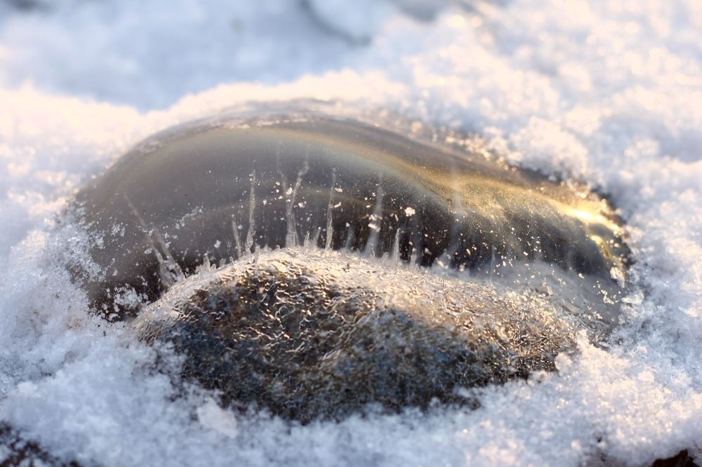 Ледяной мир