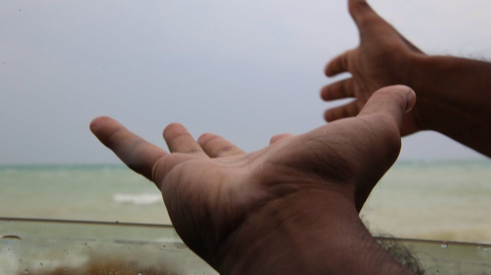 Photograph by Febin Francis