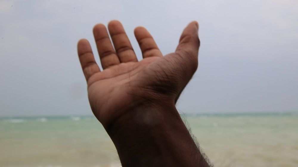 Photograph by Febin Francis