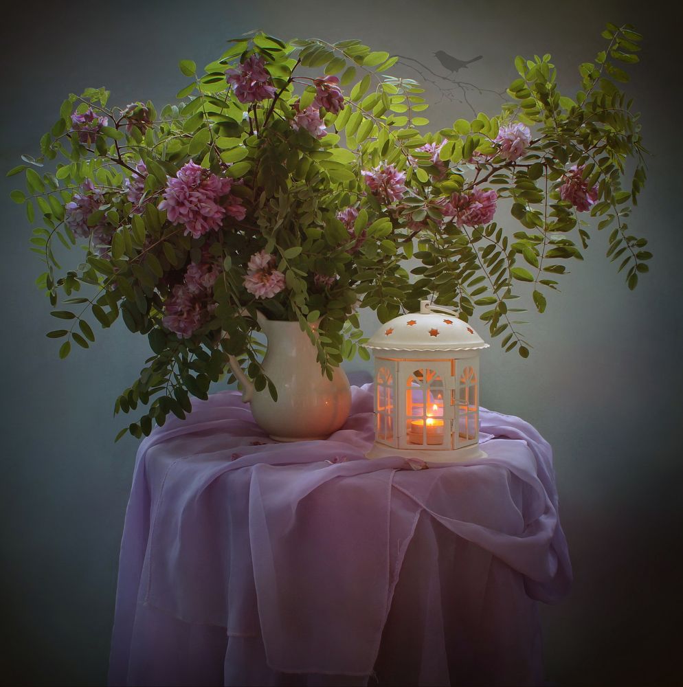 С розовой акацией