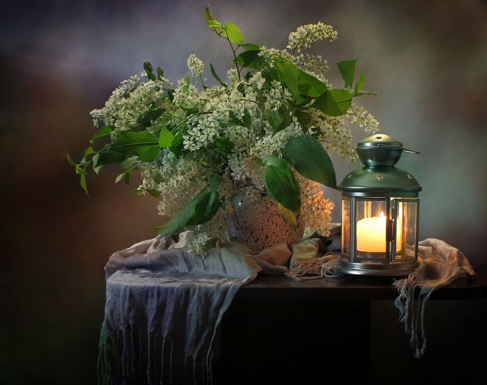 Вечер с черемухой