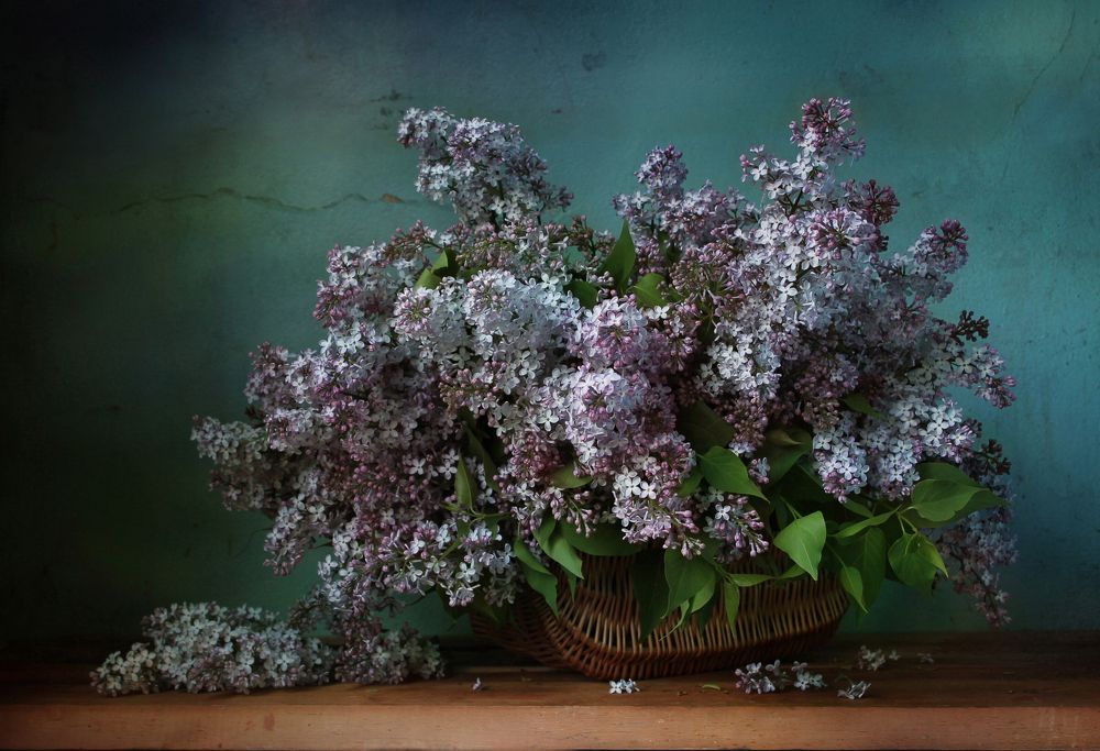 Корзинка сирени