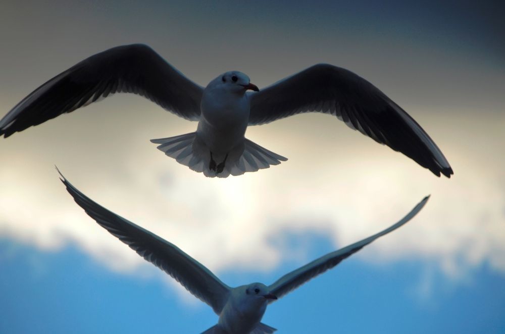 С любовью...