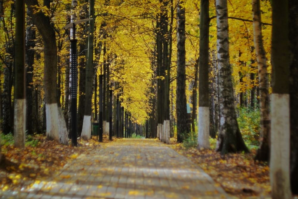 Photograph by Павел Стаценко