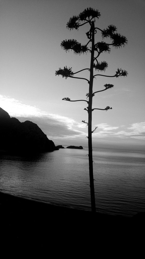 Photograph by Mohamed Arizona