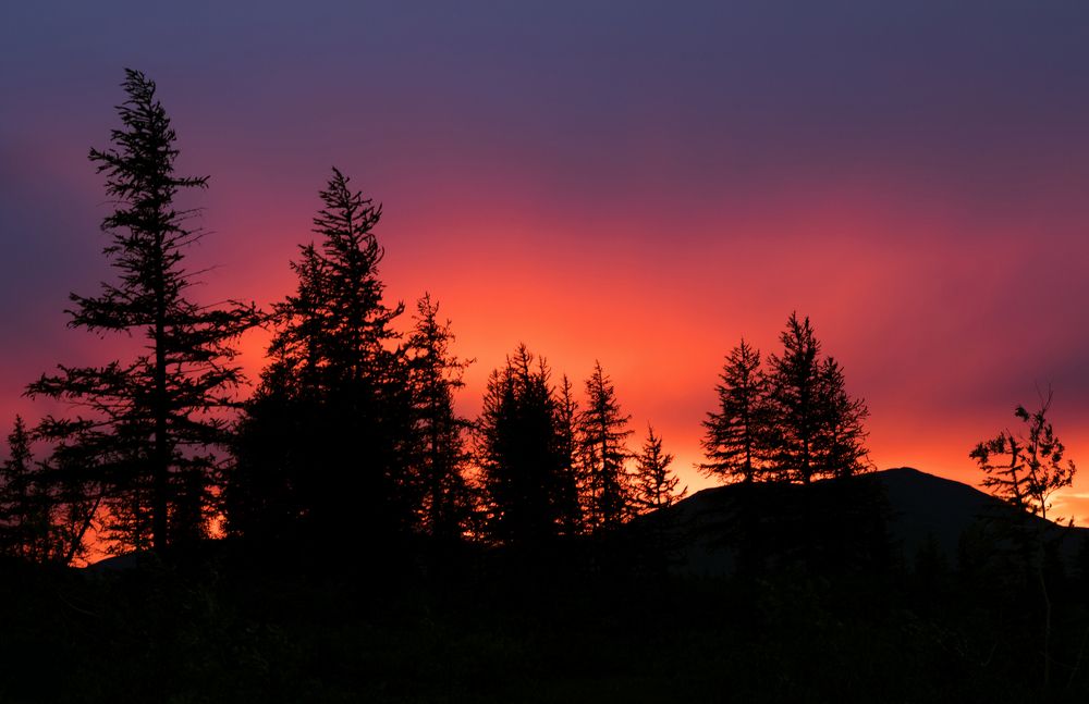 Photograph by Максим