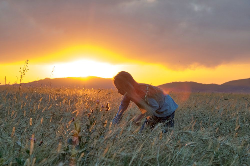 в поле на закате