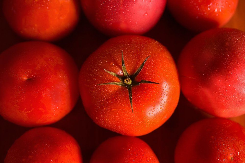 Photograph by Ксения Краснова