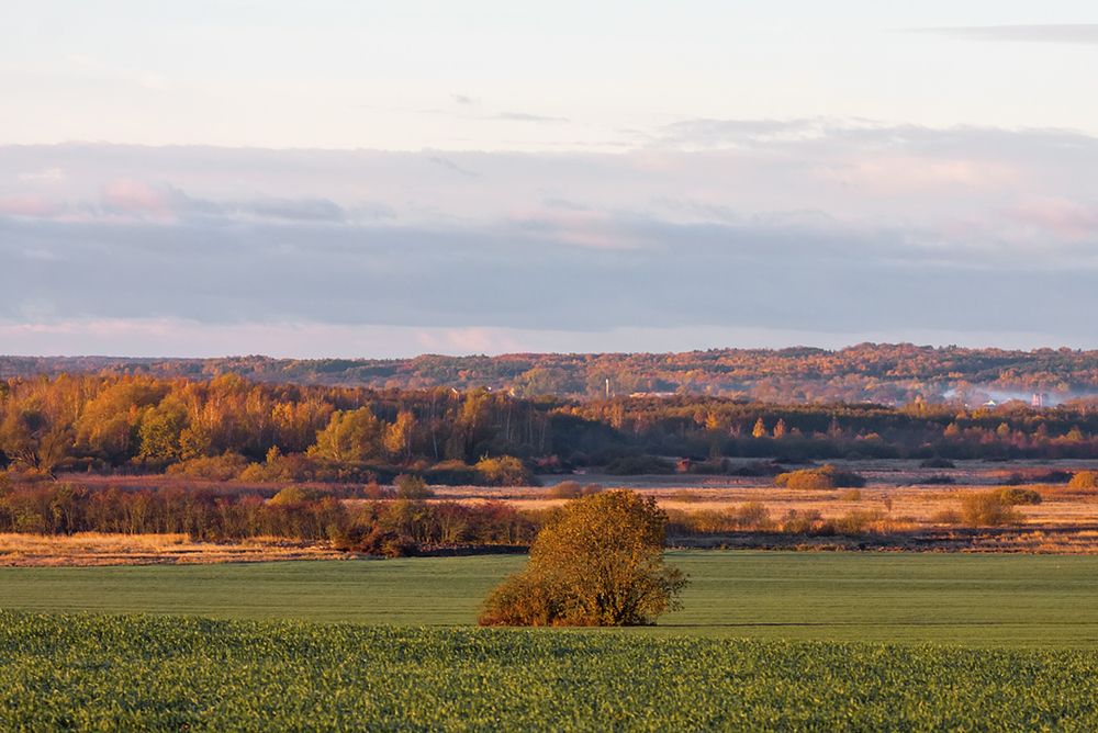 Одиночество