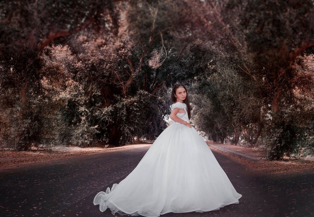 Маленькая принцесса