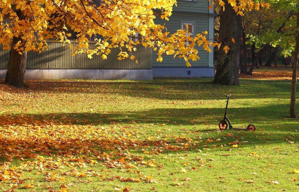 Осень, осень....