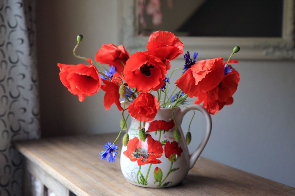 Маковый букет