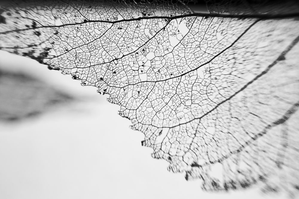 Форма и содержание