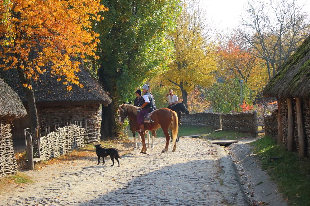 Назад в прошлое
