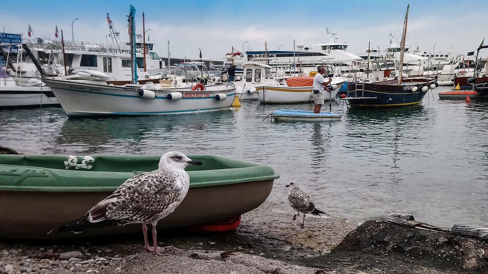 Здравствуйте дивные