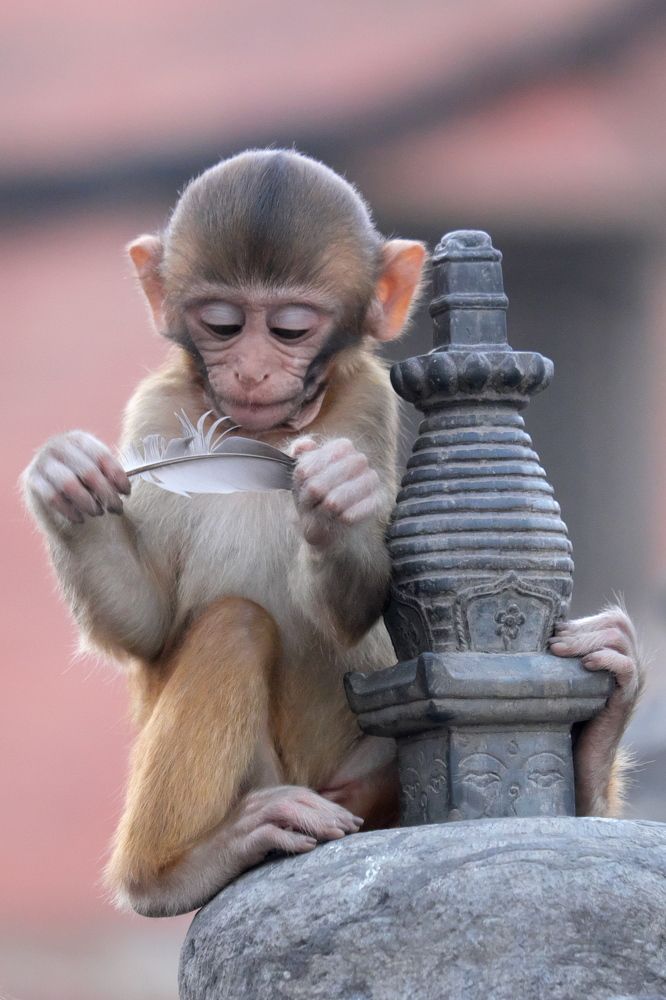 Детское любопытство/Children's curiosity