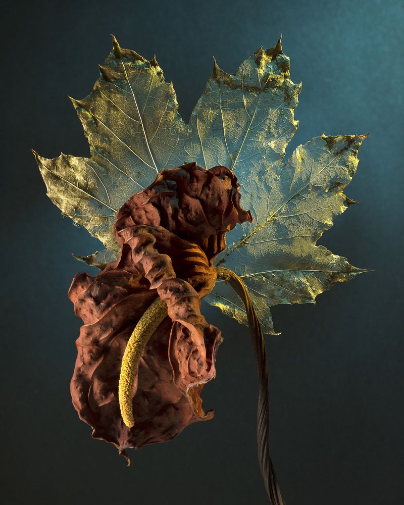 Decomposition of a Dynamic Life