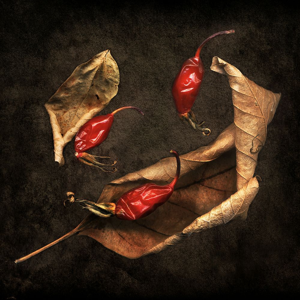 Объятия осени.