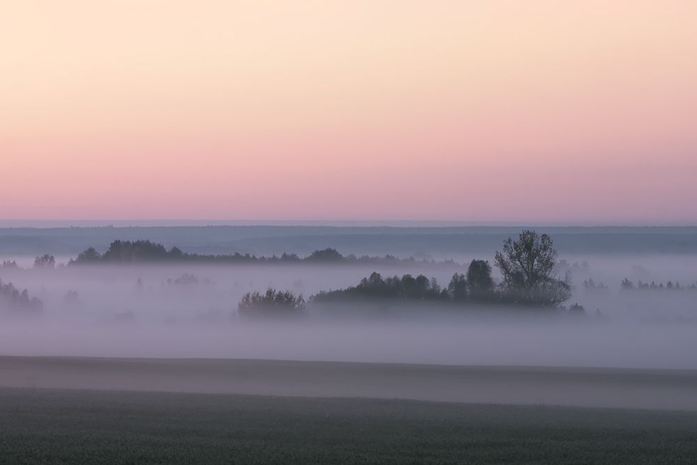 Зачарованная