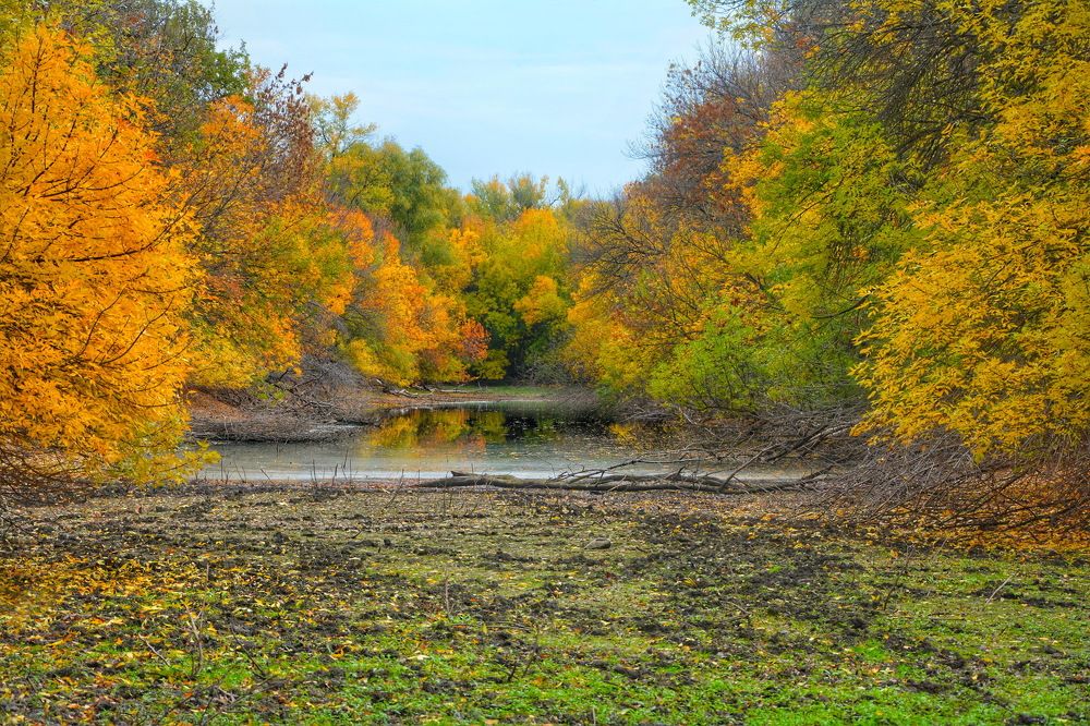 Яркая осень