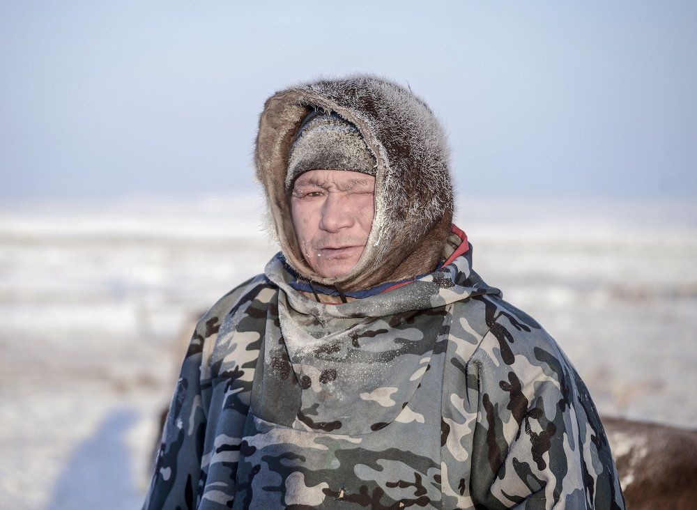 Оленевод Ямала