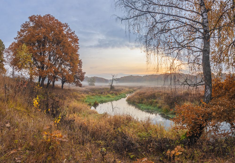 Photograph by Николай Андреев
