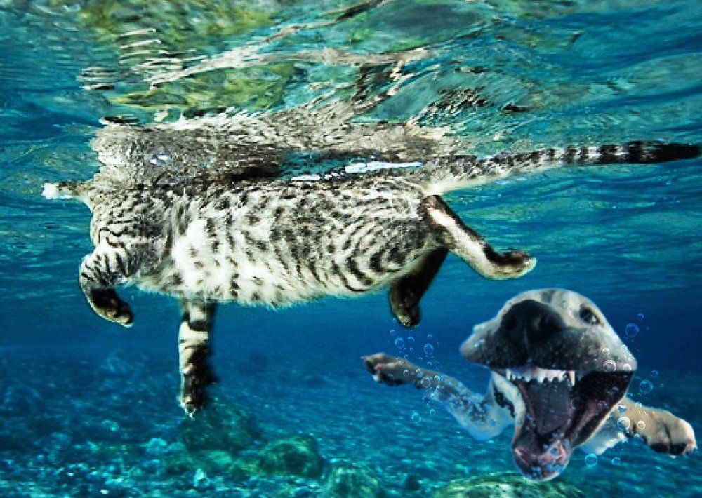 Вродь под водой, а замашки те же...