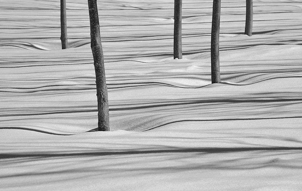 Horizontal & Vertical