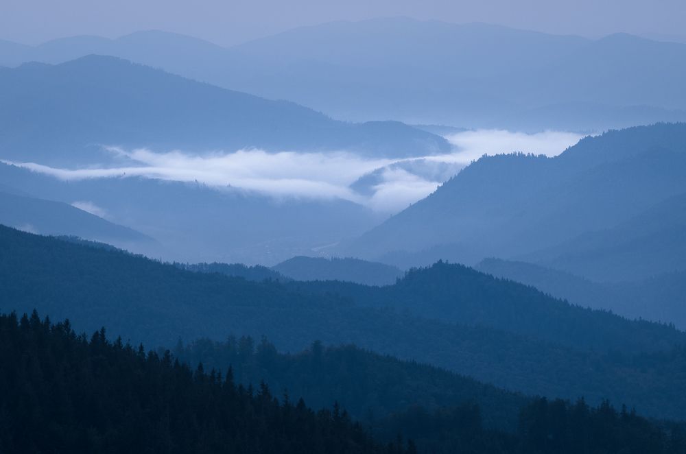 Туманное утро