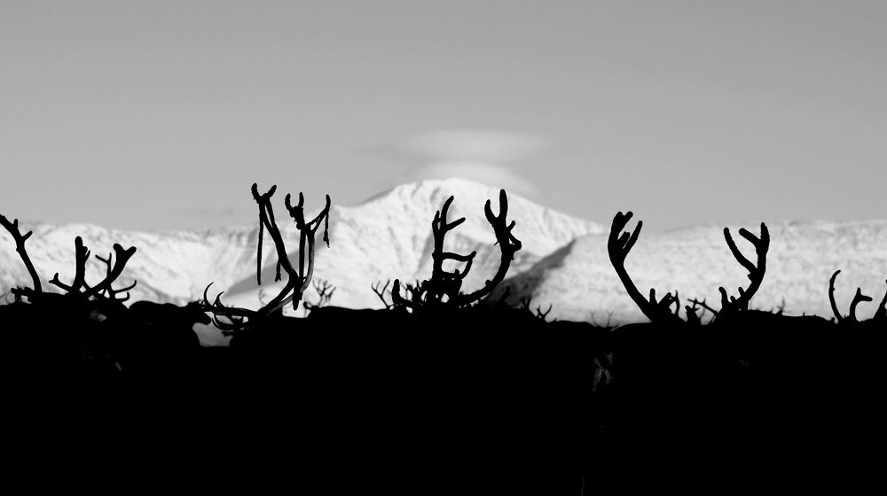 Photograph by Кирилл