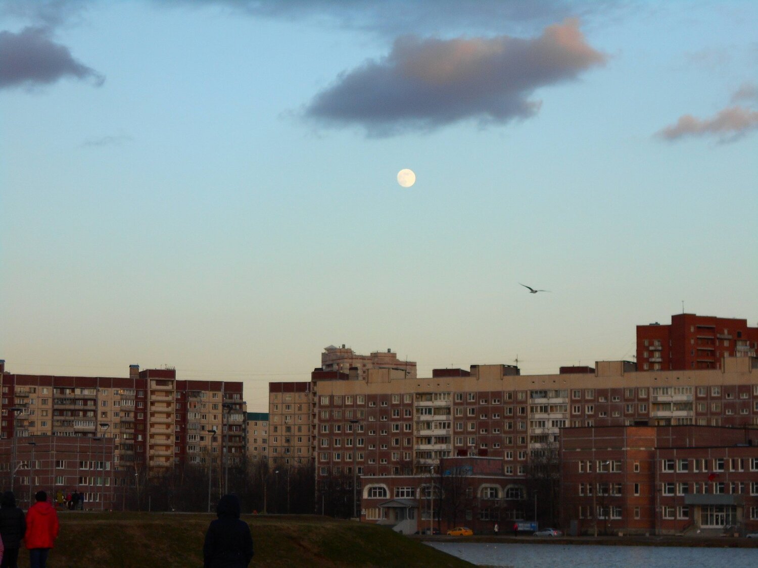 Evening, moon, clouds...