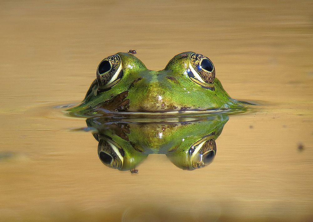 Photograph by Игорь Осипов