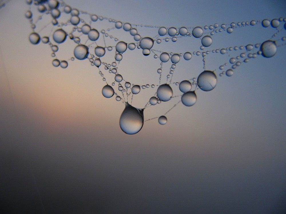 Photograph by Андрей