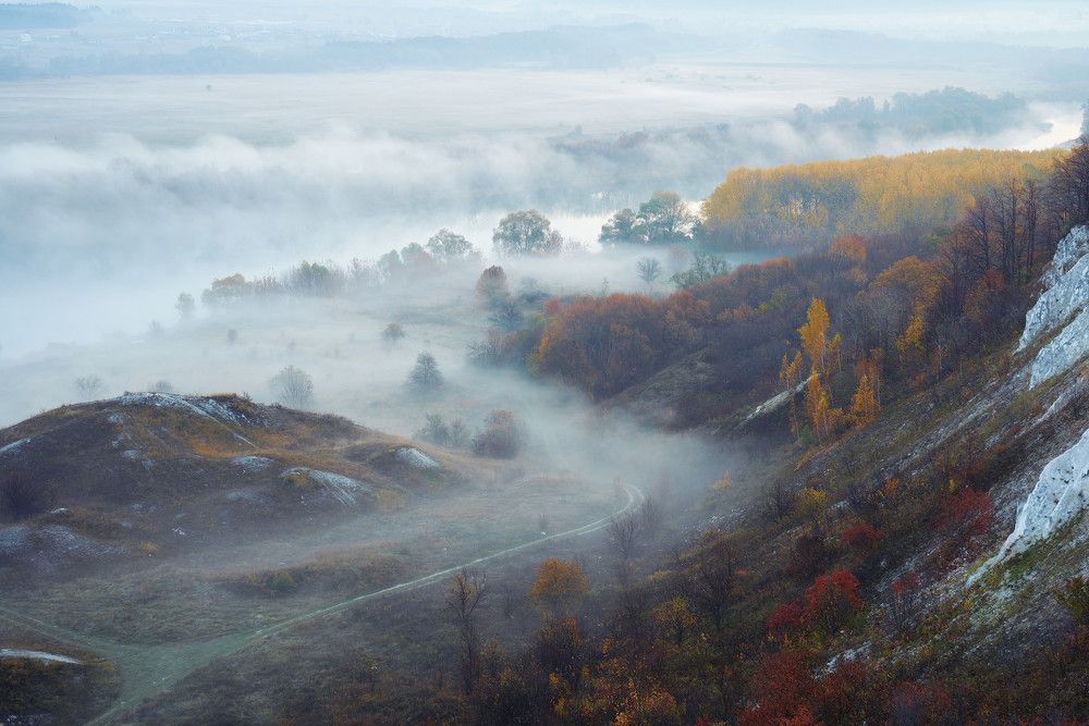 Утренний туман