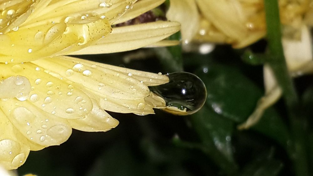 Photograph by Юлия Коробкова