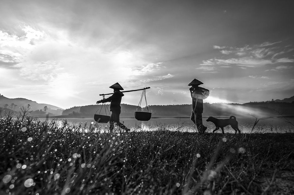 Back home into the sunrise