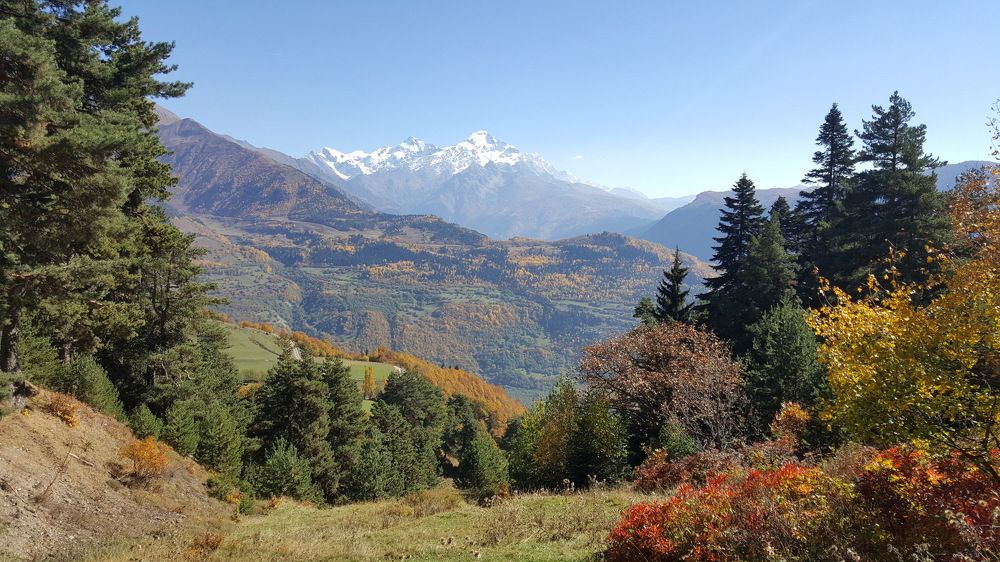Georgia