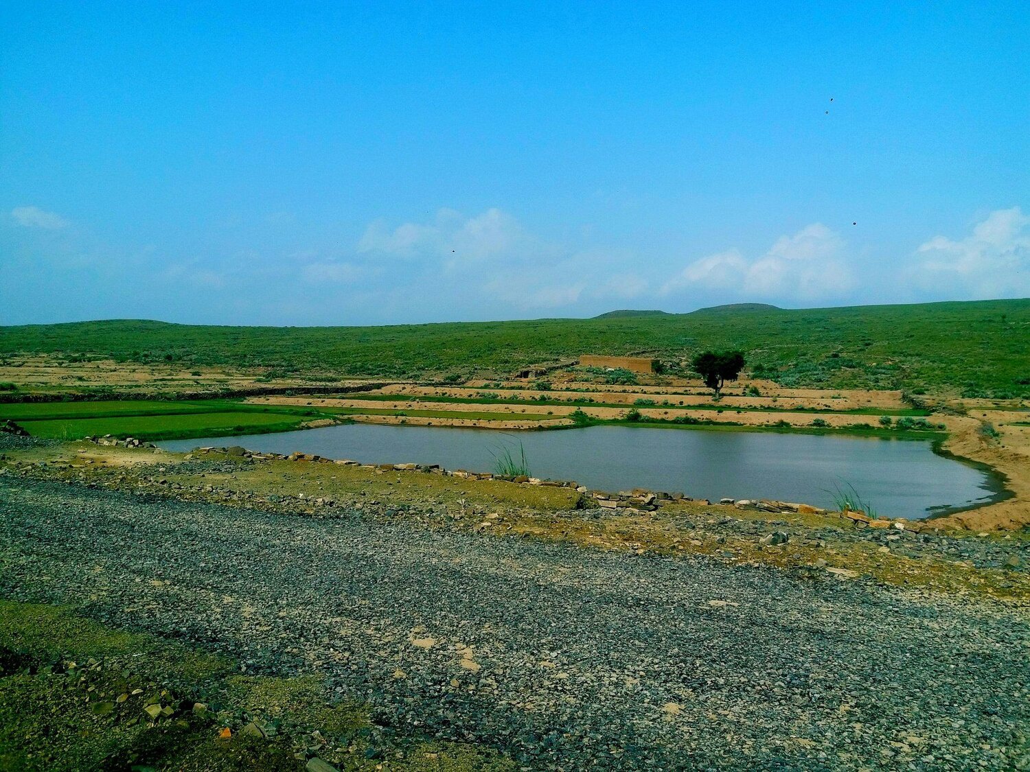 Chetri punjab pk