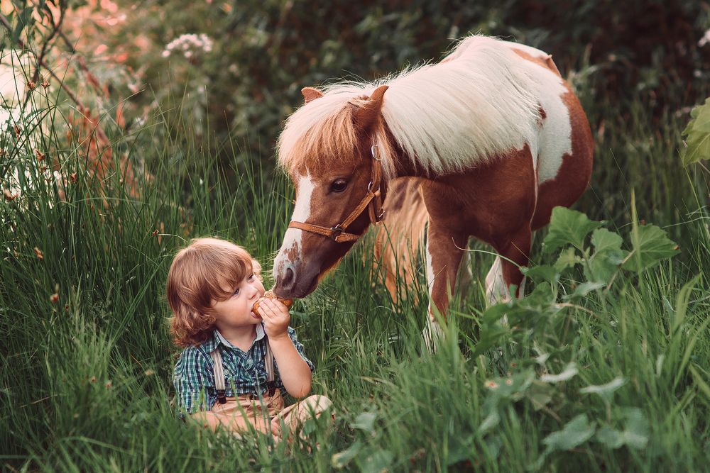 Малыш и пони