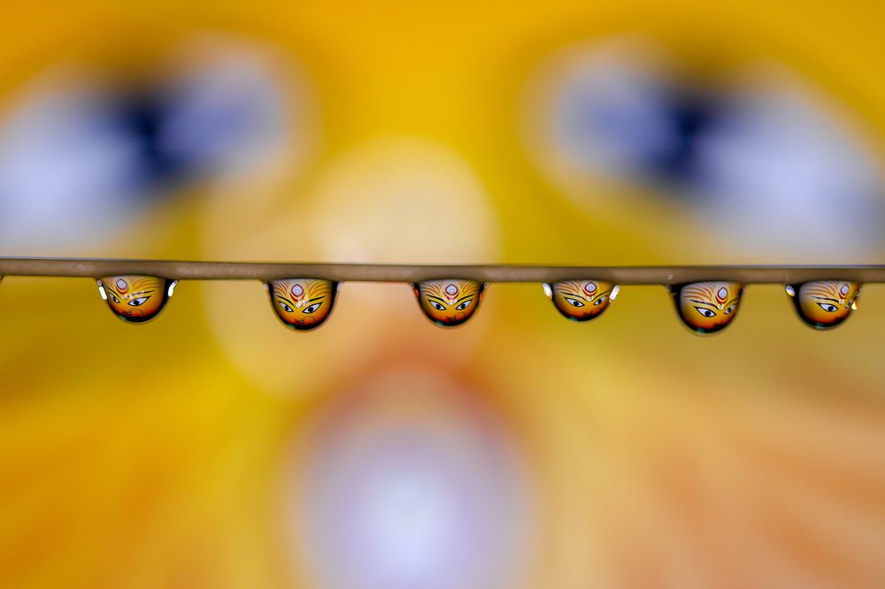 Water Drops