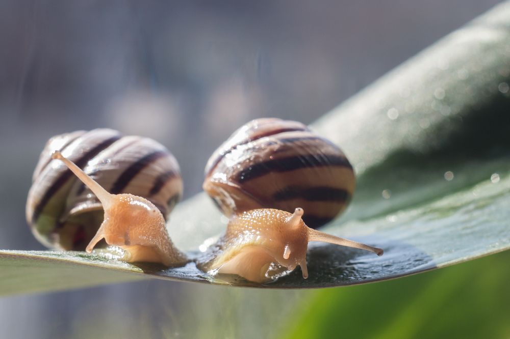 Разочарование