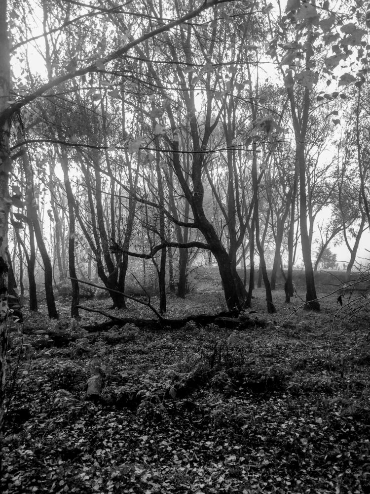 Photograph by Полина