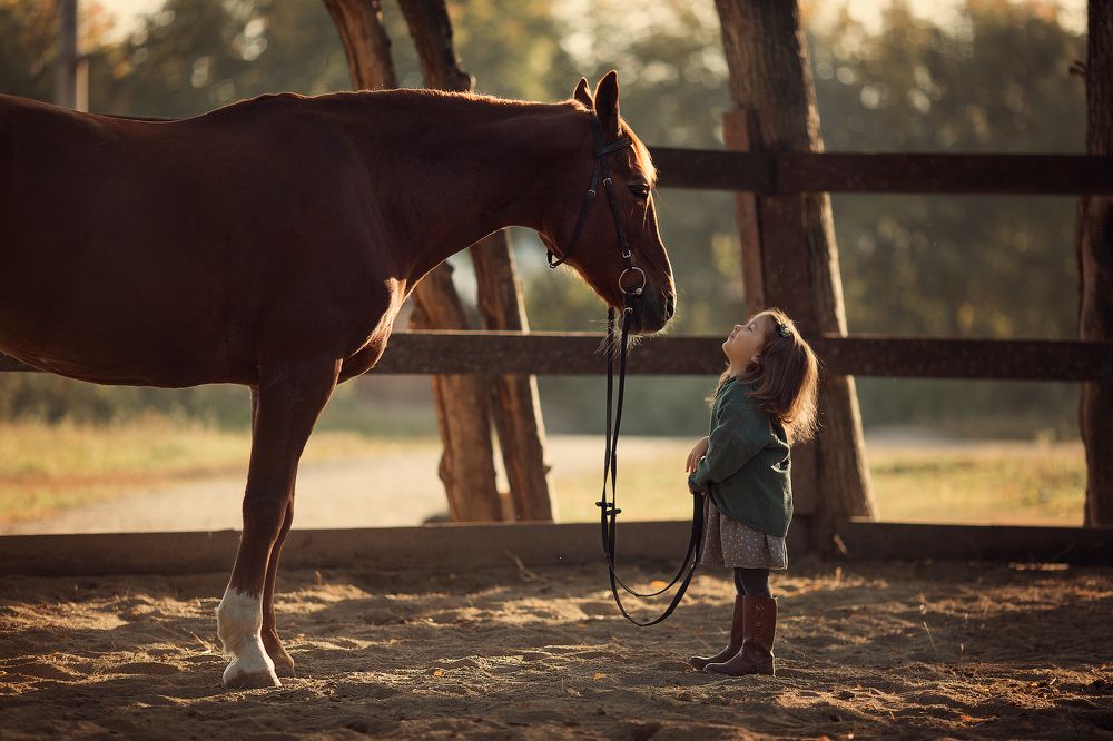 Photograph by Александра Дуке
