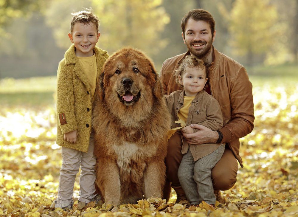 Photograph by Kate Gazina