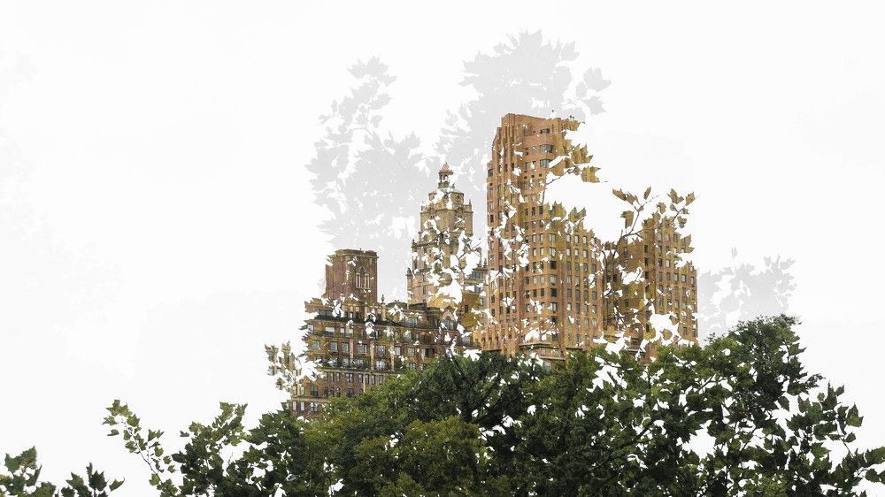 Жизнь в природе