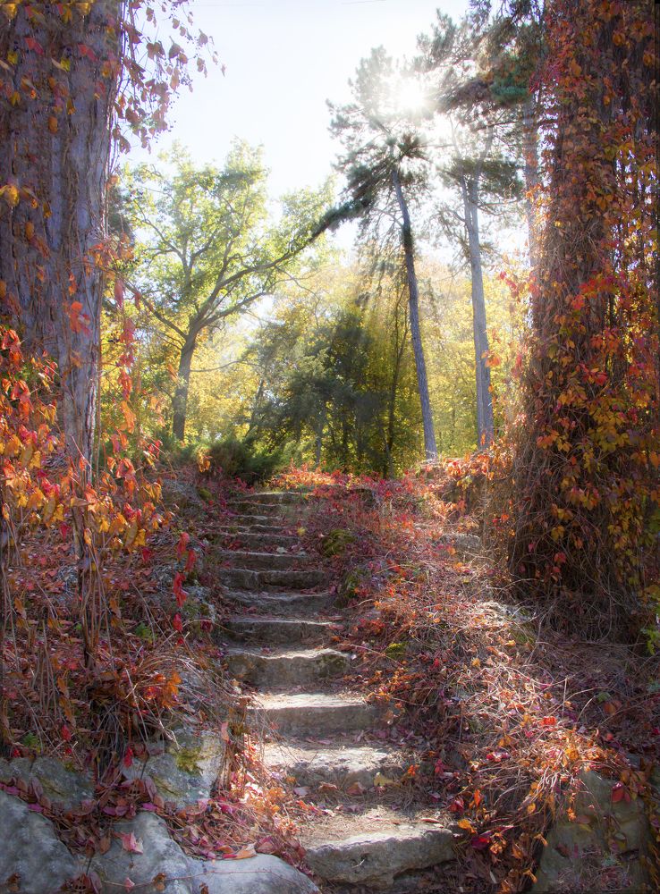 Autumn stairs