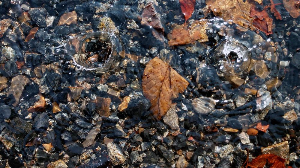 Осень. Таит снег.