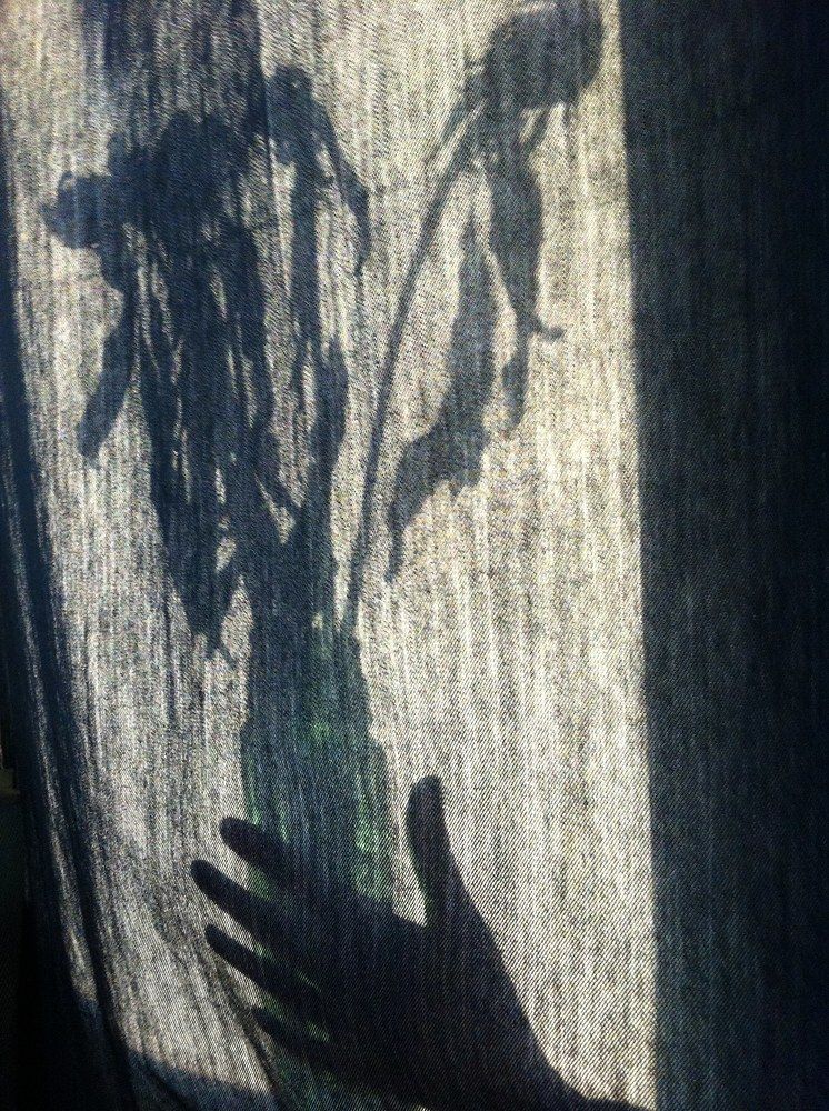 The shadow