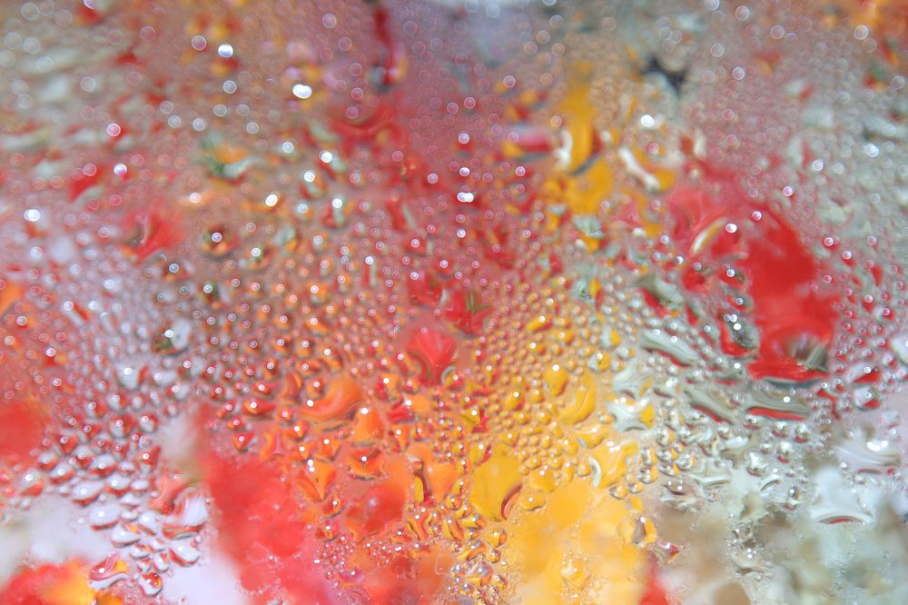 Фантазия из россыпи "солнечных зайчиков".