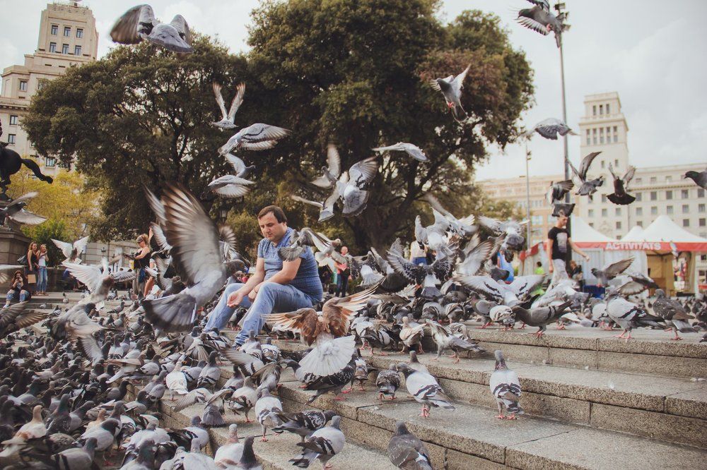 Площадь Каталонии